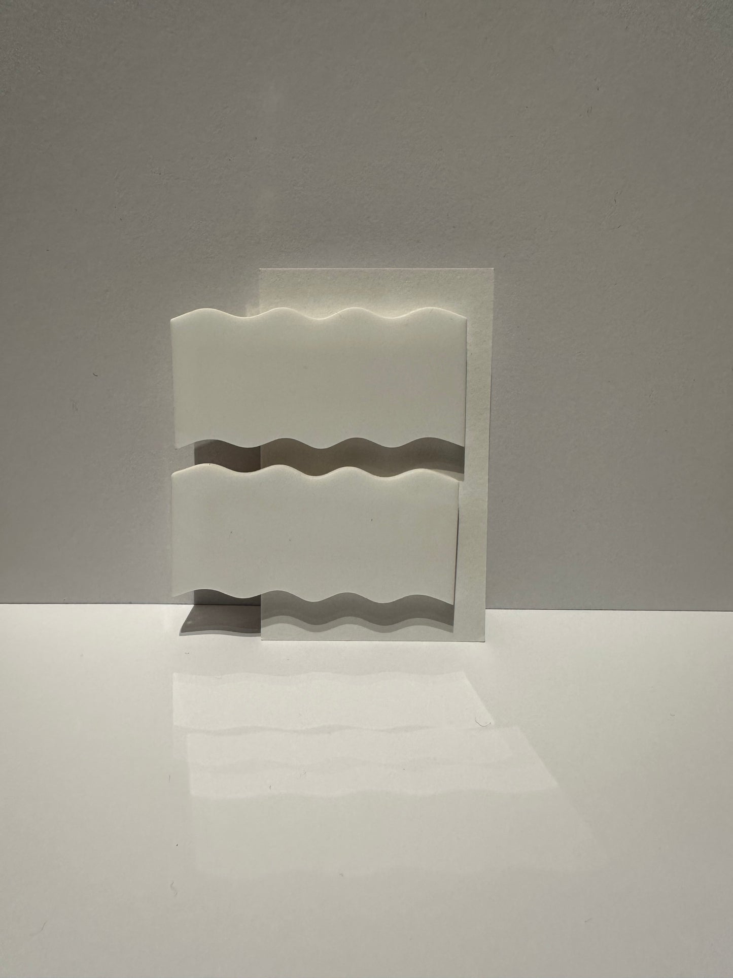 Hair Clip Set Waves